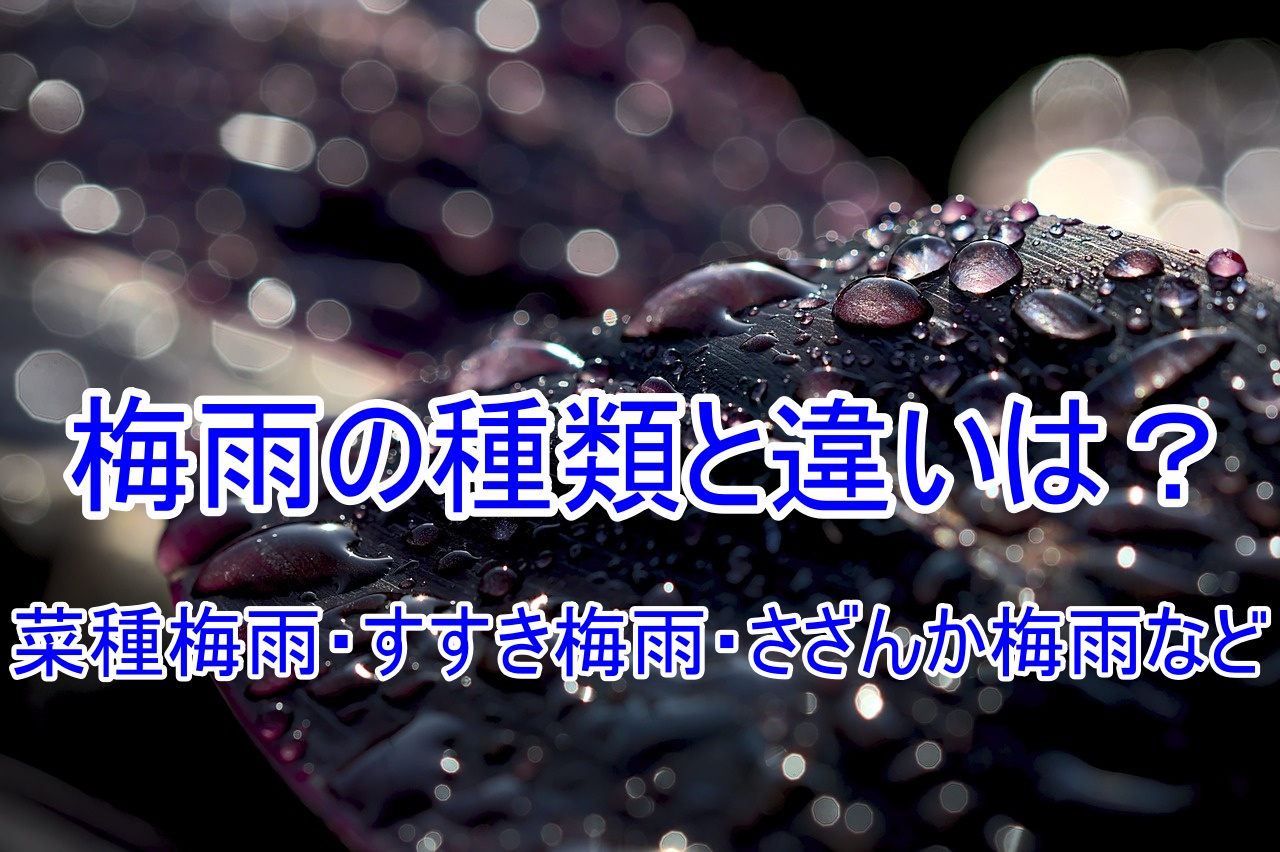 梅雨の種類と違い！菜種梅雨・すすき梅雨・さざんか梅雨など